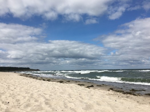 63B417DF-DBA6-4156-B3FB-7939BEF0EC0F